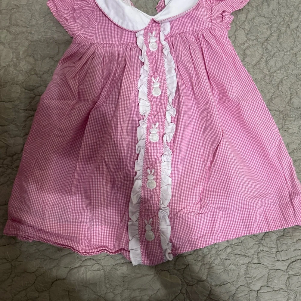 Cecil and Lou Pink and White Gingham Dress - Picture 1 of 3
